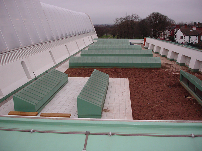 Kensington Academy Fatrafol Copper effect Rooflights.jpg